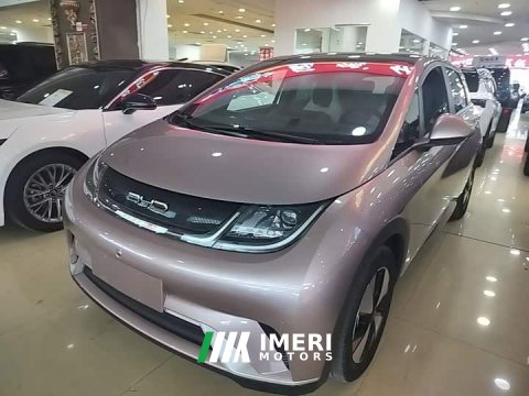 2023 BYD Dolphin 420km Fashion Edition - ავტომობილი ჩინეთიდან