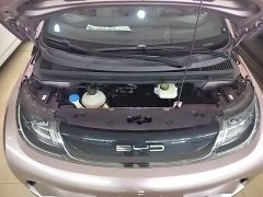 BYD Dolphin 420km Fashion Edition - photo 19