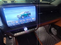 Tank 500 New Energy Hi4-Z Smart Comfort Edition - photo 17