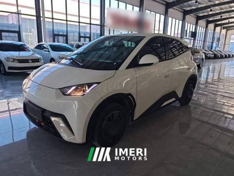 2024 BYD Seagull Vitality Edition - ავტომობილი ჩინეთიდან