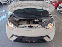 BYD Seagull Vitality Edition - фото 19