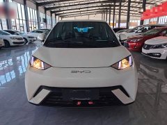 BYD Seagull Vitality Edition - фото 2