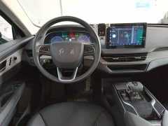 FAW Hongqi E-QM5 500km Travel Edition - photo 10