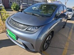 BYD Dolphin 420km Freedom Edition - ფოტო 1