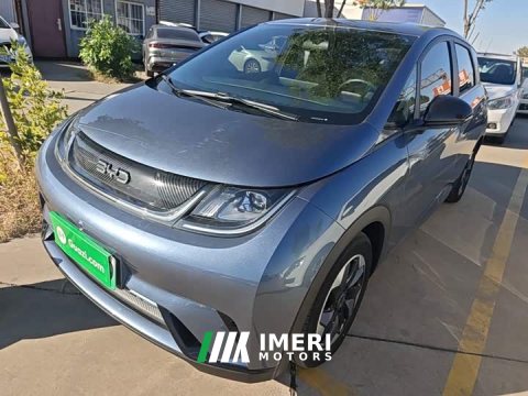 2025 BYD Dolphin 420km Freedom Edition - ავტომობილი ჩინეთიდან