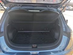 BYD Dolphin 420km Freedom Edition - ფოტო 18