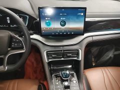 BYD Song Plus 1.5T Automatic Flagship - ფოტო 12