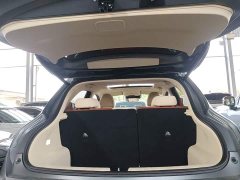ORA Good Cat 430km Deluxe Edition - ფოტო 18