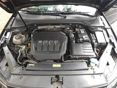 Volkswagen Magotan 330TSI DSG 30th Anniversary Edition - photo 10