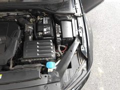 Volkswagen Magotan 330TSI DSG 30th Anniversary Edition - photo 19