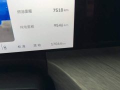 Tank 500 New Energy Hi4-T Smart Comfort Edition - photo 3