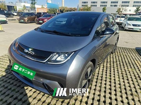 2023 BYD Dolphin 420km Fashion Edition - ავტომობილი ჩინეთიდან