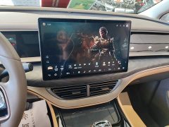Denza D9 DM-i 1040 Premium - ფოტო 12