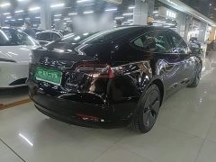 Tesla Model 3 Rear-Wheel Drive - фото 6