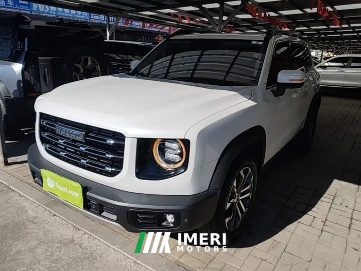 Great Wall Dachshund 1.5T DCT Two-Wheel Drive Border Collie Edition - автомобиль из Китая