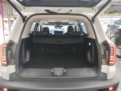 Great Wall Dachshund 1.5T DCT Two-Wheel Drive Border Collie Edition - фото 18