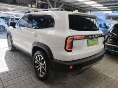 Great Wall Dachshund 1.5T DCT Two-Wheel Drive Border Collie Edition - фото 4