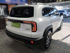 Great Wall Dachshund 1.5T DCT Two-Wheel Drive Border Collie Edition - фото 6