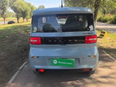 Wuling Hongguang MINIEV Macaron Fashion Edition LFP Battery - photo 5