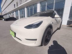 Tesla Model Y Rear-Wheel Drive - фото 1