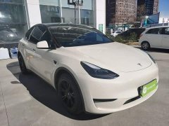 Tesla Model Y Rear-Wheel Drive - фото 3