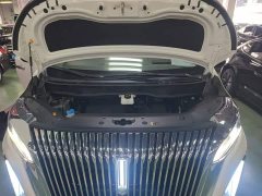 Great Wall WEY Shanshan New Energy Four-Wheel Drive Shanshan 8 - ფოტო 19