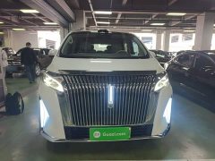 Great Wall WEY Shanshan New Energy Four-Wheel Drive Shanshan 8 - ფოტო 2