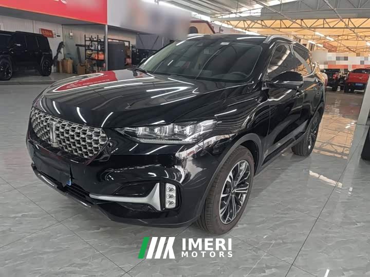Great Wall WEY VV6 2.0T Two-Wheel Drive Smart Protection - car from China