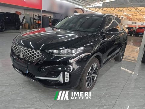 2021 Great Wall WEY VV6 2.0T Two-Wheel Drive Smart Protection - ავტომობილი ჩინეთიდან