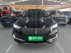 Great Wall WEY VV6 2.0T Two-Wheel Drive Smart Protection - photo 2