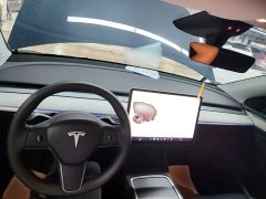 Tesla Model Y Rear-Wheel Drive - ფოტო 9