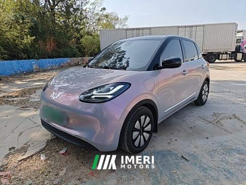 2024 Wuling Binguo 333km Lingxi Connected Edition - car from China