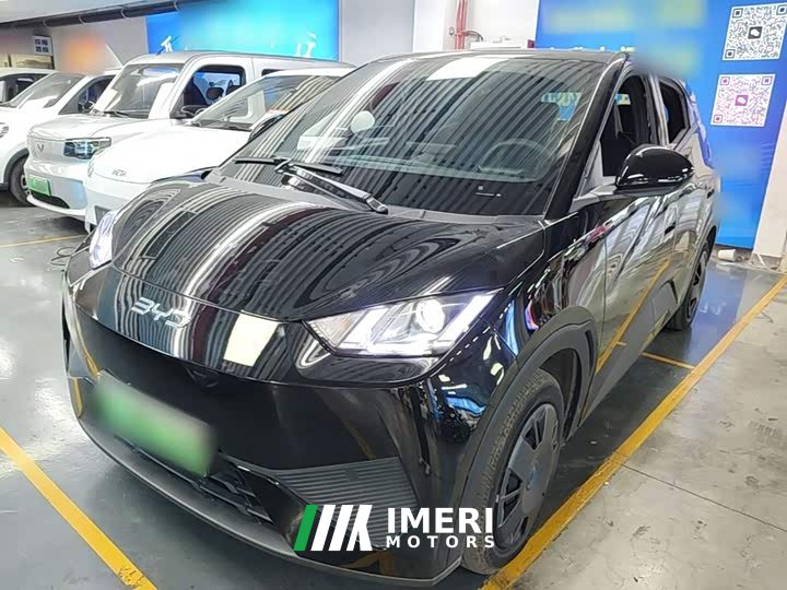 BYD Seagull Smart Drive 305km Vitality Edition