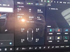 Li Auto L9 Ultra - ფოტო 11