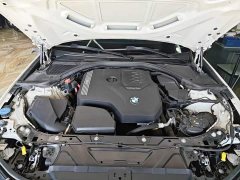 BMW 3 Series 320Li M Sport Package - photo 19