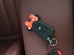 BMW 3 Series 320Li M Sport Package - photo 8