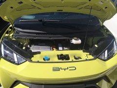 BYD Seagull Freedom Edition - фото 19