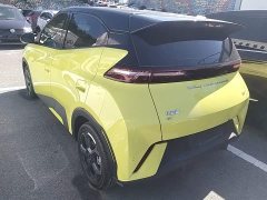 BYD Seagull Freedom Edition - фото 4