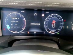 Tank 300 Off-Road Edition 2.0T Challenger - ფოტო 11
