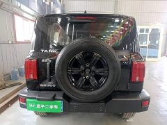 Tank 300 Off-Road Edition 2.0T Challenger - ფოტო 5