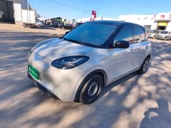 Wuling Binguo 333km Joy Edition - ფოტო 1