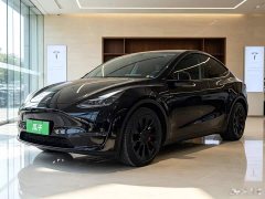 Tesla Model Y Facelift Long Range All-Wheel Drive - ფოტო 1