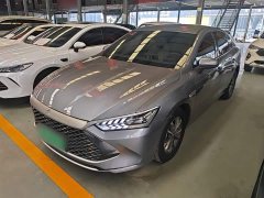 BYD Qin PLUS Champion Edition DM-i 55KM Leading - фото 1