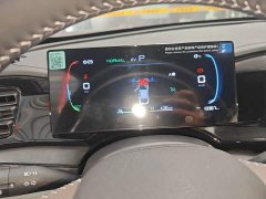 BYD Qin PLUS Champion Edition DM-i 55KM Leading - фото 11