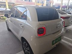 ORA Black Cat 301km Cute Pet Edition - ფოტო 4
