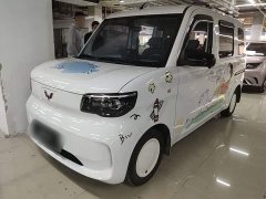 Wuling Zhiguang New Energy 201km Standard - ფოტო 1