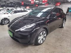 Tesla Model Y Rear-Wheel Drive - фото 1