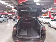 Tesla Model Y Rear-Wheel Drive - фото 18