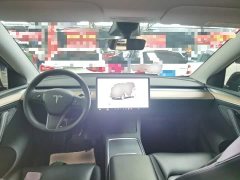 Tesla Model Y Rear-Wheel Drive - фото 9