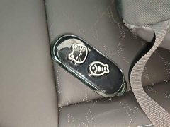 BMW Electric MINI Cooper 456km COOPER E Classic Edition - ფოტო 8